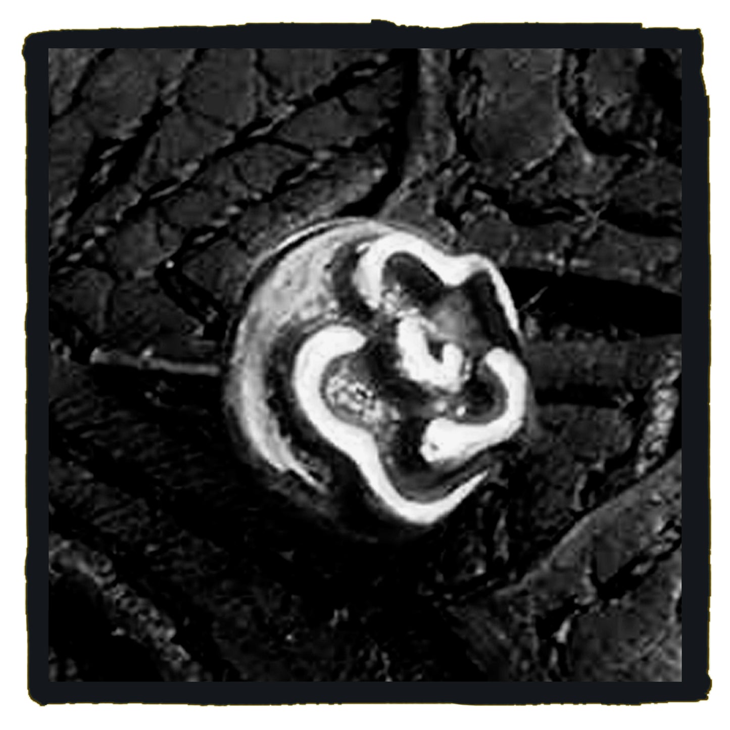 01-e0001f stud earring-rose (price are for one)