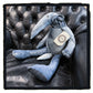 reborn project - maison indigo denim anteater